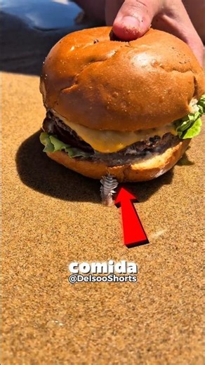 Why does he want to capture it? 🤔