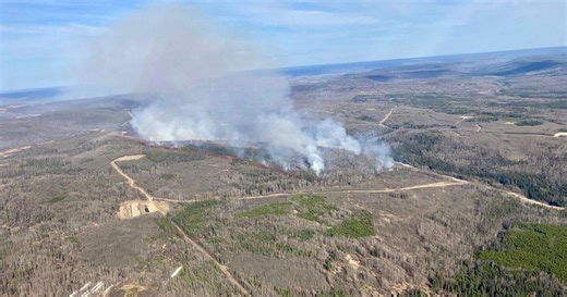 Wildfire evacuees in Fort St. John, B.C., allowed to return home: city