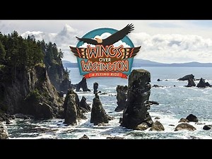 Wings Over Washington Show at Downtown, Seattle | 4D Theater | Full Show | Mesmerizing experience 🤩