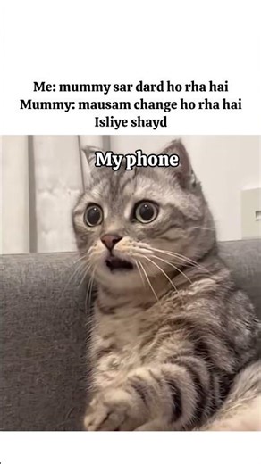 Season ki hi glti hogi😅😉#trending#shorts#youtubeshorts#relatable#reels#funny#cat#anime #fun #maa#ai