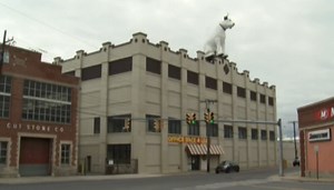 Schumer seeks help for Albany's iconic 'Nipper' building