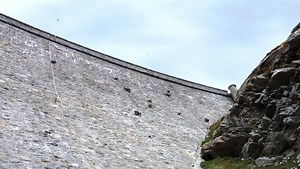 19K views · 260 reactions | How's your head for heights? Watch these goats as they scale a near vertical dam with barely a second glance. | National Geographic UK | Facebook