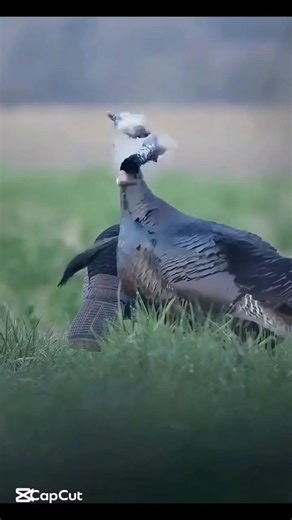 Use Proper Fasteners Use Proper Fasteners_LifeHacks_DIYTips_DailyIdeas _hunting #shots #охота