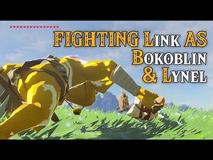 FIGHTING Link AS Bokoblin & Lynel! Different Perspectives in Zelda Breath of the Wild