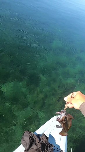 Stalker Squid Smashes Jig - Red Dawn by Gan Craft