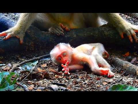 Adorable baby sleeping peacefully alone on the ground without milk