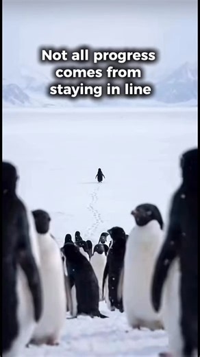 If you removed expectations, titles and “what’s next”… we’re curious to know what direction would you choose today!? Let us know below!👇 | Malia Group Careers