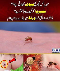 2.9K views · 16 reactions | What is Malaria, Causes, Signs & Symptoms, Diagnosis and Treatment? #malaria #malariaawareness #fever #malariaprevention #health #healthcare #awareness #viralvideoシ #viralpost2025 #trendingreelsvideo #trendingnow | City21 | Facebook