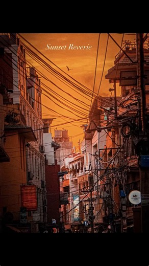 Understanding Photography: Art vs. Technique