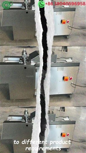 Adjustable Meat Cutting Machine 2 5cm to 5 5cm Cube Cutting for Meat Processing Plant