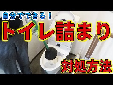 [Follow Along] A Pro Shows You How to Unclog Your Toilet!
