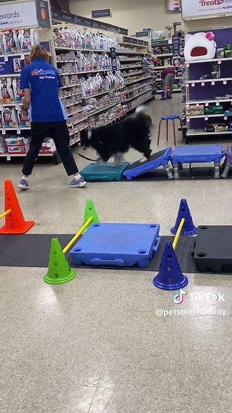 Some training fun with our amazing trainer Penny! #anythingforpets #lifeatpetsmart #petsmartdelray