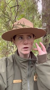 10K views · 232 reactions | A gentle reminder to stay safe and stay on the trails, friends!  #Redwood #Hiking #TrailSafety [Video description: A ranger observes a spot where someone has tripped over a log. It is then revealed that the ranger is covered in dirt and leaves.] | Redwood National and State Parks (NPS) | Facebook