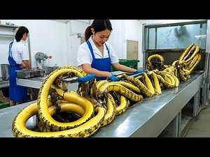 50 Most Satisfying Machines and Ingenious Tools