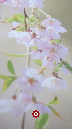 速読・俳句に使いたい「春の季語一覧」【ショート版】 #季語