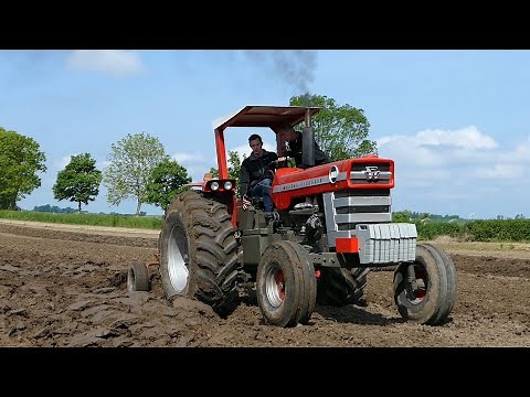 Massey Ferguson 1100 in the field ploughing w/ 6-Bottom Plough at Ferguson Event | 6.cyl Pure Power