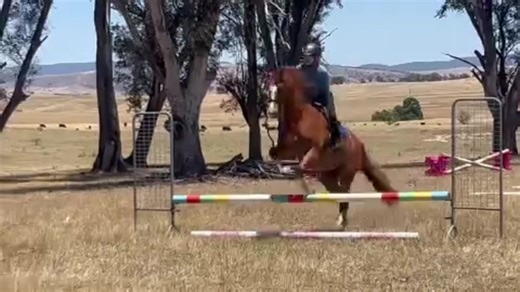 Incredible Pony Overcomes Jumping Challenges