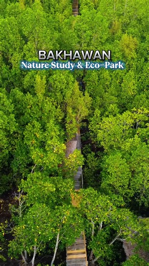 10K views · 245 reactions | Naka punta kana ba dito? Kamusta naman ang Experience mo? Bakhawan Nature Study & Eco-Park #winchgreentv #kaliboaklan #newbuswangkaliboAklan #istoryah | Winchgreen TV | Facebook