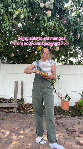 Next should we plant a garden???? 🥺✨ #mangotree #mangoseason