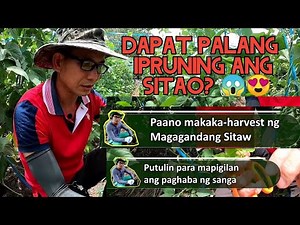 Pruning String Beans