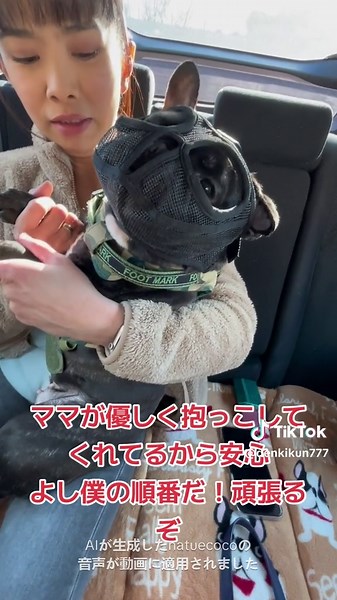 オリジナル楽曲 - でんちゃんを使っているでんちゃん (@denkikun777)の動画