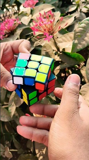 Peaceful Rubik’s Cube Solve 🌿 | Flowers & Leaves Setup #shorts #rubikscube