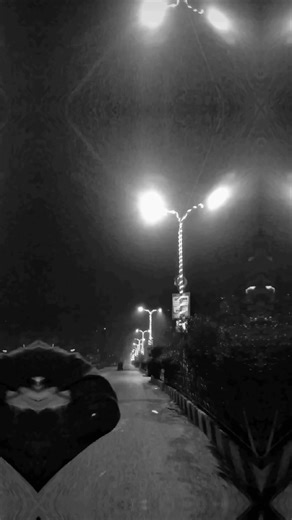 Exploring the Creative World of VideoStar