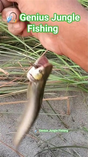 🎣 Genius Jungle Fishing Hacks! 🐟 Catch Smart, Not Hard in the Wild 🌴🔥 #Shorts