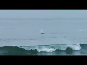 Overleaf Lodge & Spa: Your Home for Relaxation (No Logo)