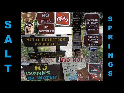 Exploring Salt Springs Recreation Area - Campground, Springs, and Underwater Wonders