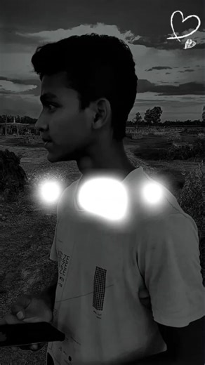 TikTok · Invoice header: *** Inc.