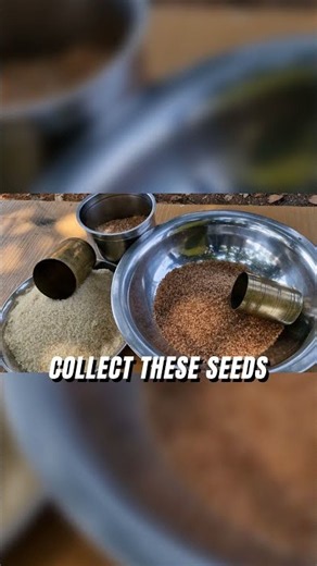 Bread's Secret Origins: Prehistoric Wild Grains