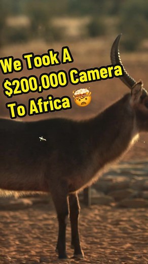$200,000 Camera in Africa: Epic Slow Motion Archery Shot