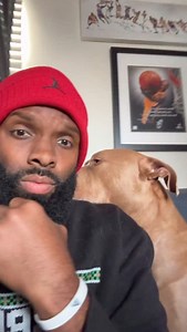 Road to 1M Followers. Thank you @sailorjerrithedogtrainer for the inspiration #dontbullymybreed #changingstigmas | Aaron Michael Louis
