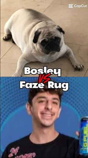 Faze Rug vs. Bosley ‪@rug‬ #bosley #fazerug #edit