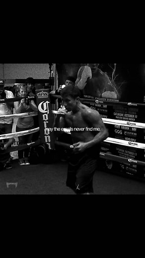 BANDOG™ on Instagram: " #boxing #ggg #boxingtraining"
