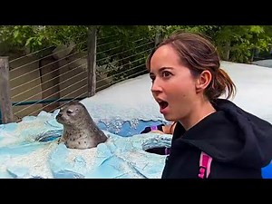 Maya And The Crew Goes To The Zoo