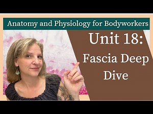 A & P Unit 18: All About Fascia | Structure, Tensegrity, and Sensory Function | MBLEx Prep