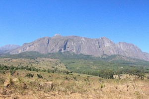 Mount Mulanje, Malawi | Hike Mt. Mulanje | Malawian Style