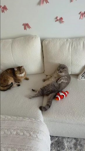 Minnie is very sad 😔