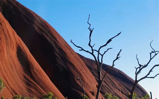 DSGE理论及应用实战-初级 202205208