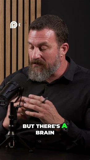 Unlocking Brain Secrets The Anterior Mid Cingulate Cortex Explained