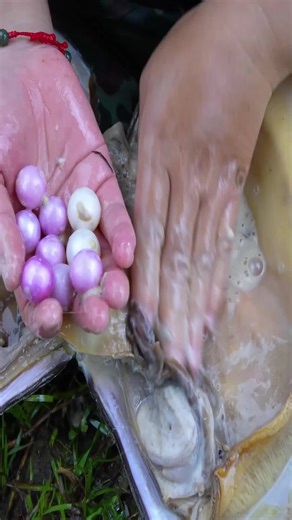 Discovering the Stunning Pearl Treasures Underwater