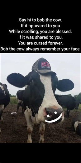 Bob the cow. #meme #shorts #funny