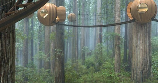 Future Visions of Our Planet