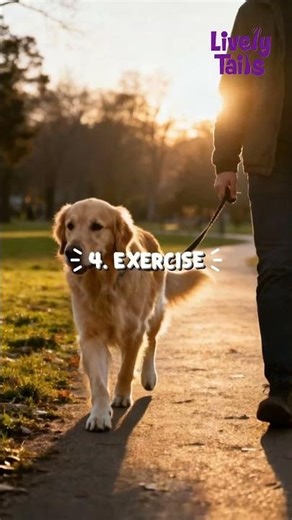 How to Calm Your Anxious Dog 🐶 | Tips to Reduce Dog Stress