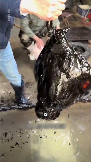 The Fastest Way to Remove Animal Hair Before Cooking