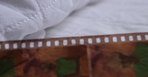 Video by Athena Sandrini on Pexels