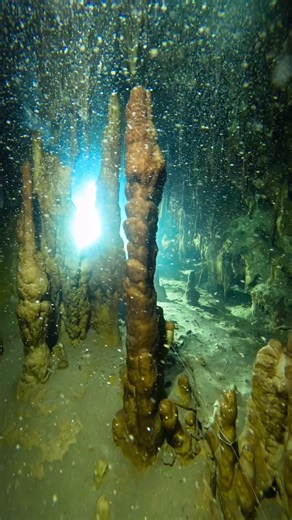 1.2K views · 505 reactions | Delicate caves call for careful and...