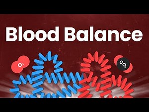 The Gorgeous Symmetry in Your Blood Chemistry